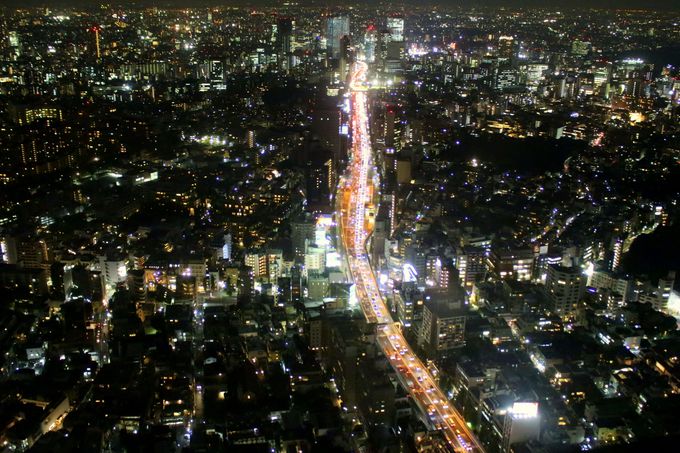 �C���X�^�f�����I�����V�e�B�r���[�̐�i�|�C���g�̓R�R�I