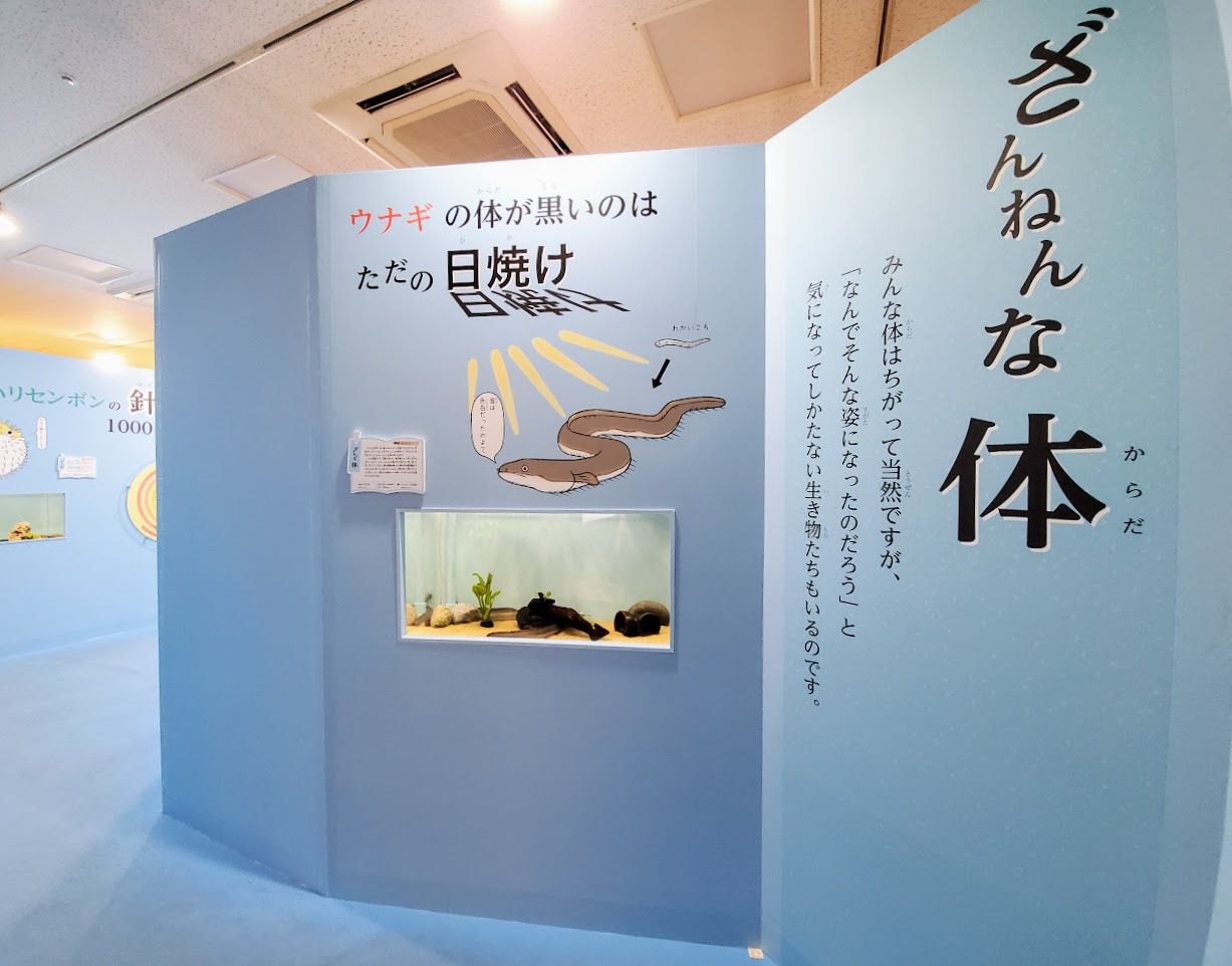 クスっと笑える ざんねんないきもの展2 サンシャイン水族館で開催 東京都 トラベルjp 旅行ガイド