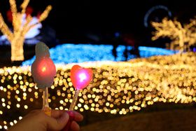 800~`y߂I_ސu݌΃C~Iv͒tHgWFjbN̋LTlC