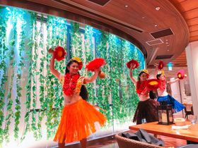 �����f�B�Y�j�[���]�[�g�́u�J�t�F�E�J�C���v�͖邪�C�C�I���̔閧�Ƃ́H�̋L���T���l�C��