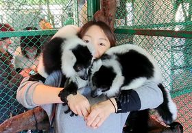 ���t���t�ȃ����L�[�����ɁI�ߐ{���[���h�����L�[�p�[�N�̖��͂܂Ƃ߂̋L���T���l�C��