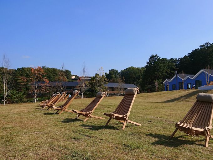 `PbgŃ[~̃V[uG}̌vӏ܂łI