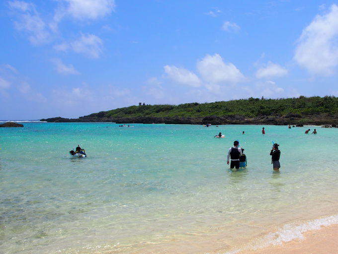 ̍Ō̓Vm[POIyŶ񂷂Yꂸ