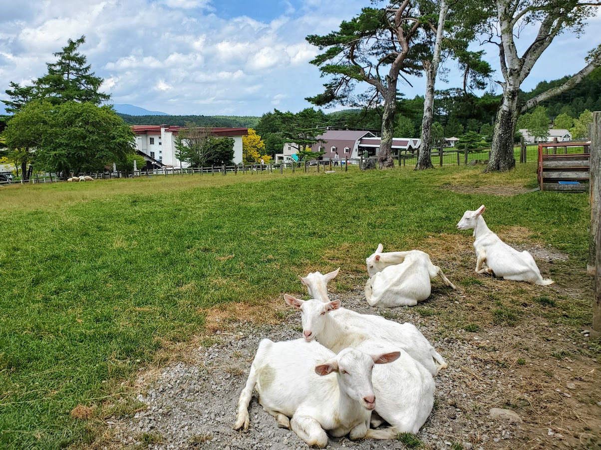 ゴンドラを降りた先に絶景 蓼科山 女神のそらテラス10で非日常を 長野県 トラベルjp 旅行ガイド