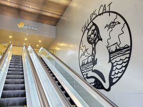 uWeBase vό_ɕ֗RXpǂI͂ǂHוI̋LTlC