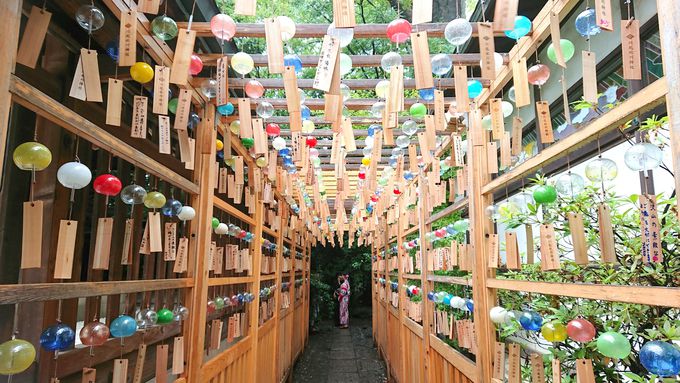 川越氷川神社と2000個以上の「縁むすび風鈴」