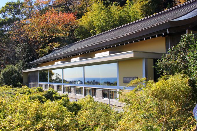 鎌倉 長谷寺 に絶景レストランが お寺のランチでほっこり 神奈川県 トラベルjp 旅行ガイド
