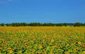 �ċx�݁I�Ƒ����s�ōs�������ό��X�|�b�g20�I �݂�ȂŉĂ��y�������I�y2026�z�̋L���T���l�C��