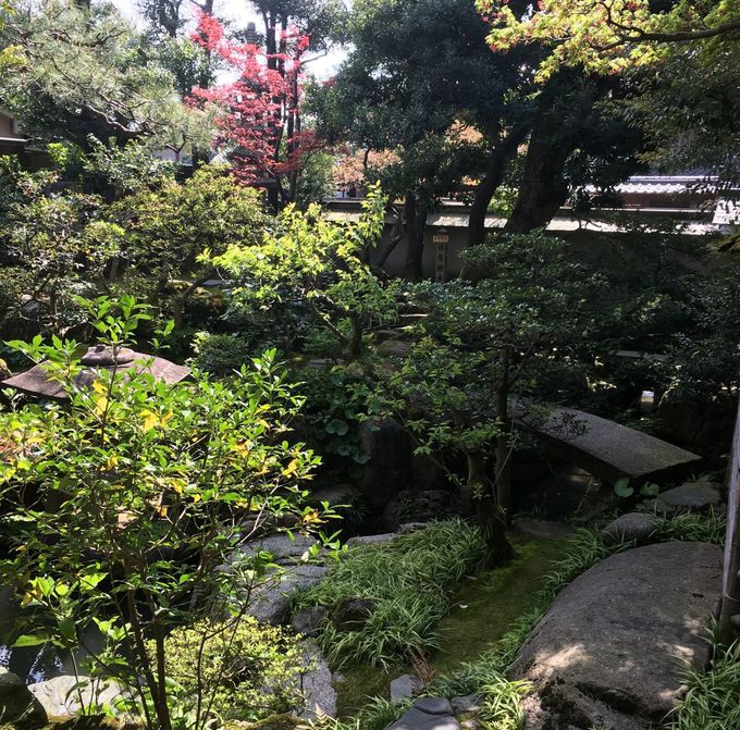 PڌߑOFƉ~Ձ`ɂ͂nOI