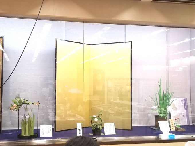 VܘaَqX̐El񂪎قǂ