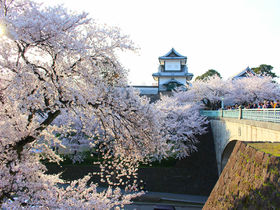 古都に咲き誇る桜！金沢城・兼六園観桜期のライトアップ＆散策