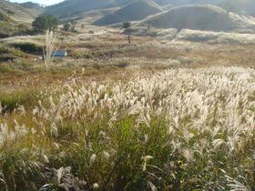 F̃XXLPցIH̕Ɂuu􍂌vUKCh̋LTlC