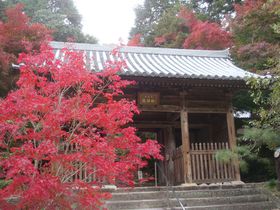 �K�C�h�u�b�N�ɍڂ��Ă��Ȃ��g�t�Ϗ܂̌���u����@�v�̋L���T���l�C��