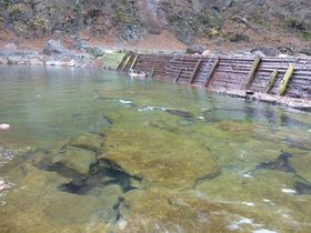 hVR̐̓BQn̔铒EKĉ͐삻̂̂I̋LTlC