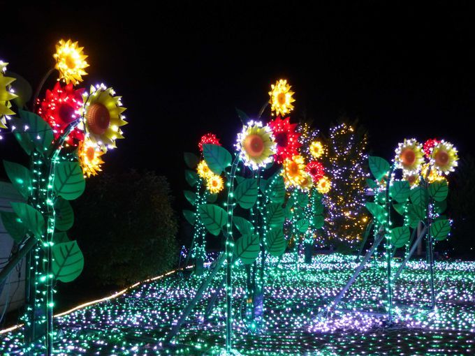関西最大級の光の祭典「神戸イルミナージュ」神戸フルーツ・フラワーパーク