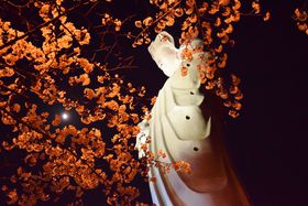 t̖͊ωRցB蔒ߑωEqρCgAbv̋LTlC