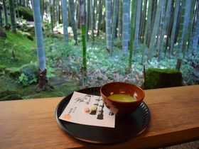 鎌倉・報国寺「休耕庵」でお抹茶を。竹林散策は朝一番がオススメ