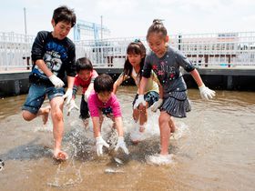 子連れの夏休みは横浜・八景島シーパラダイス！「うみファーム」で魚釣りとお魚観察