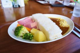 _ސE{_J[OUIVj[Ƀ_J[K`̋LTlC