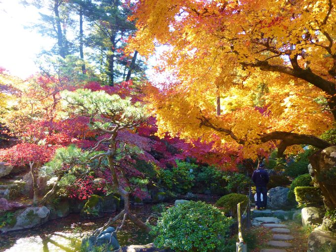 回遊式の日本庭園、徳明園を散策。夜にはライトアップも