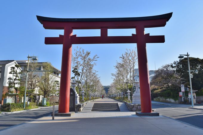 鎌倉の象徴 鶴岡八幡宮 基本の見どころ 参拝方法は 神奈川県 Lineトラベルjp 旅行ガイド