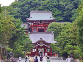 鎌倉の象徴「鶴岡八幡宮」基本の見どころ、参拝方法は？
