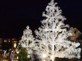 冬に訪れたい箱根の観光スポット8選！クリスマスや新年の旅に