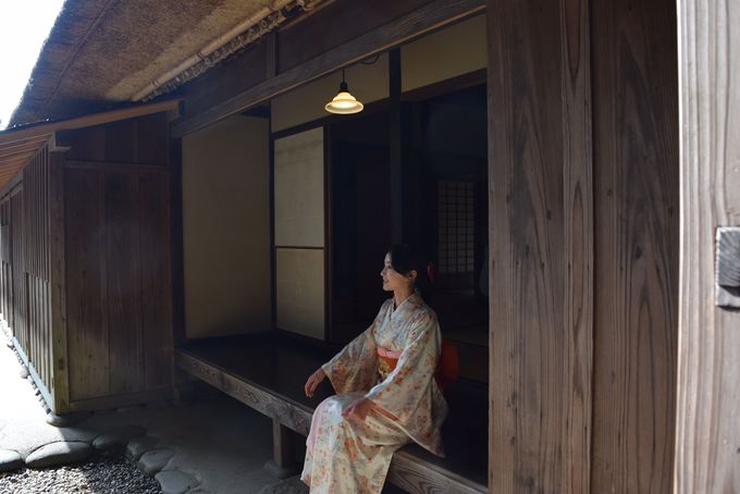 鉺̖ʉecƉ~QBȂ؂ő̌