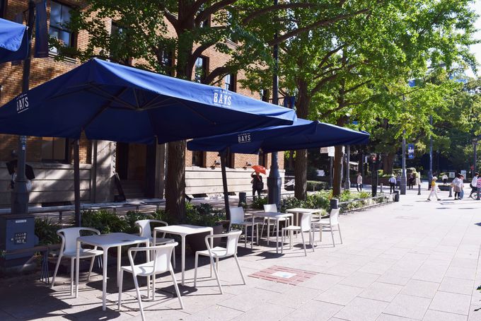 JWAȕ͋C̓ρBCǂeXȂ