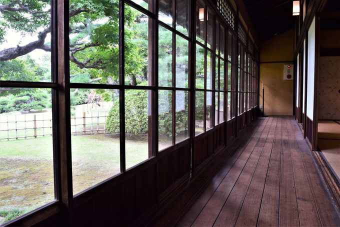 佐倉藩主の邸宅「旧堀田邸」で和の美しさに触れる