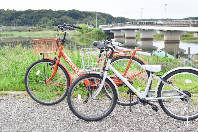 佐倉ふるさと広場 マルシェ 自転車