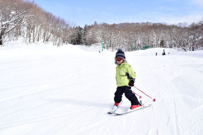 qAt@~[ErMi[ɗDR[XCAEg