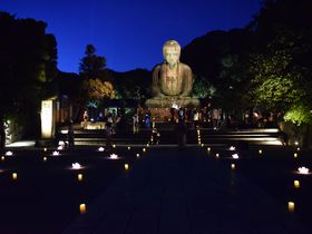 「かまくら長谷の灯かり」古都の夕闇を照らす寺社ライトアップ