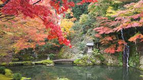 򕌁ES㔪uTv뉀ƔOÂ̌̋LTlC