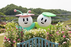 ȋ{I򕌁uԃtFX^LOvt̃o܂̋LTlC