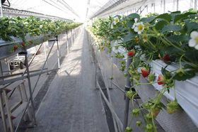 ��M�B��喞�i�I�͂ƃo�X�c�A�[�ł䂭�g�C�`�S���ƐM�B�O�����H�ו����h�̋L���T���l�C��