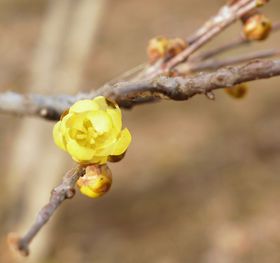 ƂтȉԂ闷IzE_A֍sĂ݂悤̋LTlC