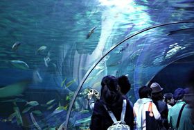 ���z�I�ȊC�������Ȃ��ɂ��I�f�[�g�ɂ����߁u���Ȃ��퐅���فv�̋L���T���l�C��