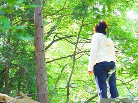 GāuRv̏tďH~yޕ@̋LTlC