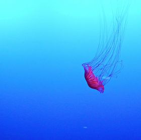 ���R���搶�I�q���Ɛ�΍s���Ă��������u�V�]�m�������فv���̋���̋L���T���l�C��