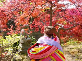 ΐ쌧̐_ЁE14II^^Abvɂ߂̃p[X|bgЉI