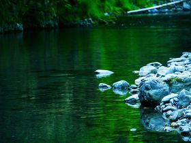 �H��k�J�A�����͂܂��ɓ����̃q�[�����O�X�|�b�g���I�̋L���T���l�C��