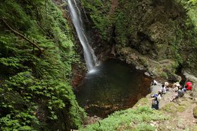 ���̉ԃh�[�i�c����i�I�����B��̕S���e�u����̑�v�̋L���T���l�C��