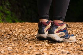 ���t���b�V�����ʔ��Q�I�������u�O�����v�Ƀt�B�g���`�b�h�𗁂тɂ������̋L���T���l�C��