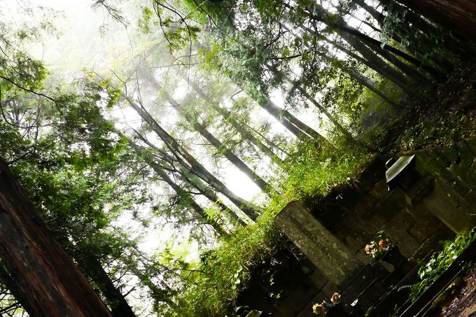 є\AJrAcM̂ȂǃoG[VLxȏcH