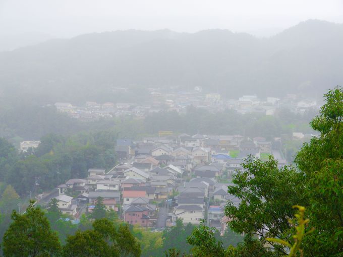 OxωVR猩镗i͂Ȃǂ肪