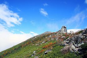 A̒߂ƕK̂_̊I{SRER̋LTlC