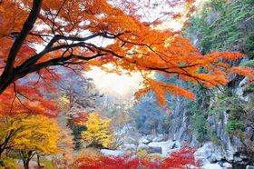 ���̓��ʖ����I�R���E��ԏ��勬�Ŏl�G�̍ʂ�ƌk�J���𖞋i�I�̋L���T���l�C��