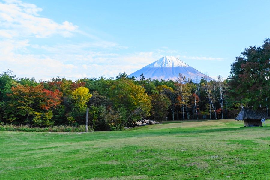 富士山麓の広大な原生林・青木ヶ原樹海（山梨）で森林浴と紅葉を楽しもう！