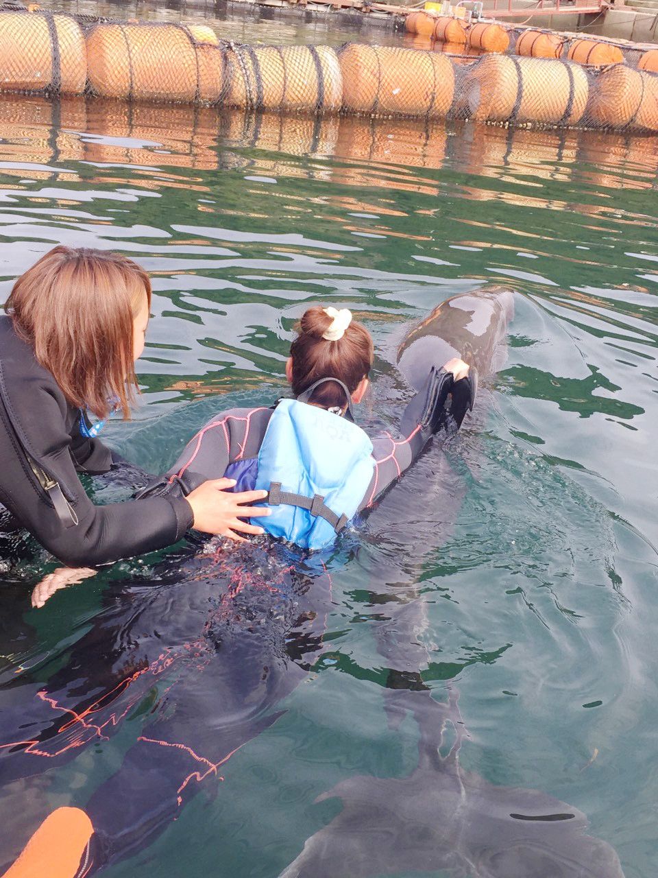 イルカと一緒に淡路島の海を泳げる「じゃのひれドルフィンファーム」